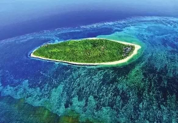 去年川企在“一带一路”共建国家非金融类直接投资31亿元